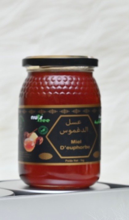 Miel d’euphorbe - عسل الدغموس