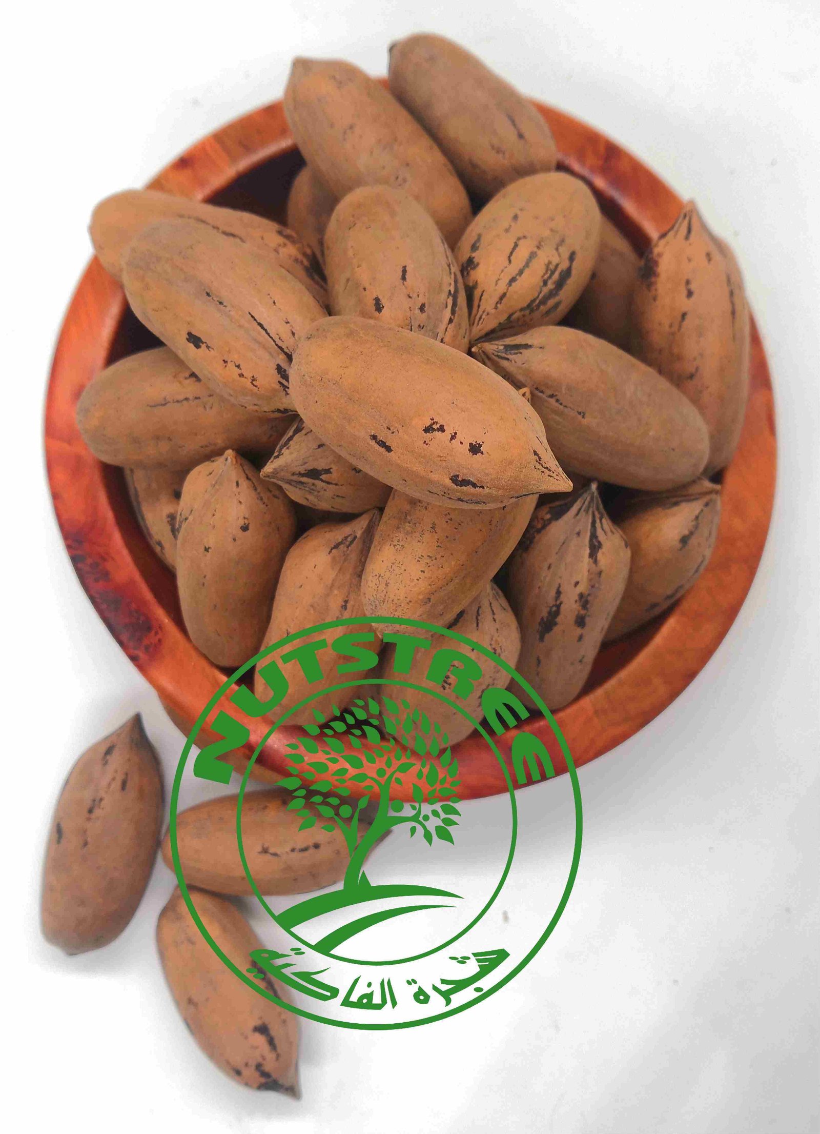 noix pica en coque جوز البيكا  بالقشرة