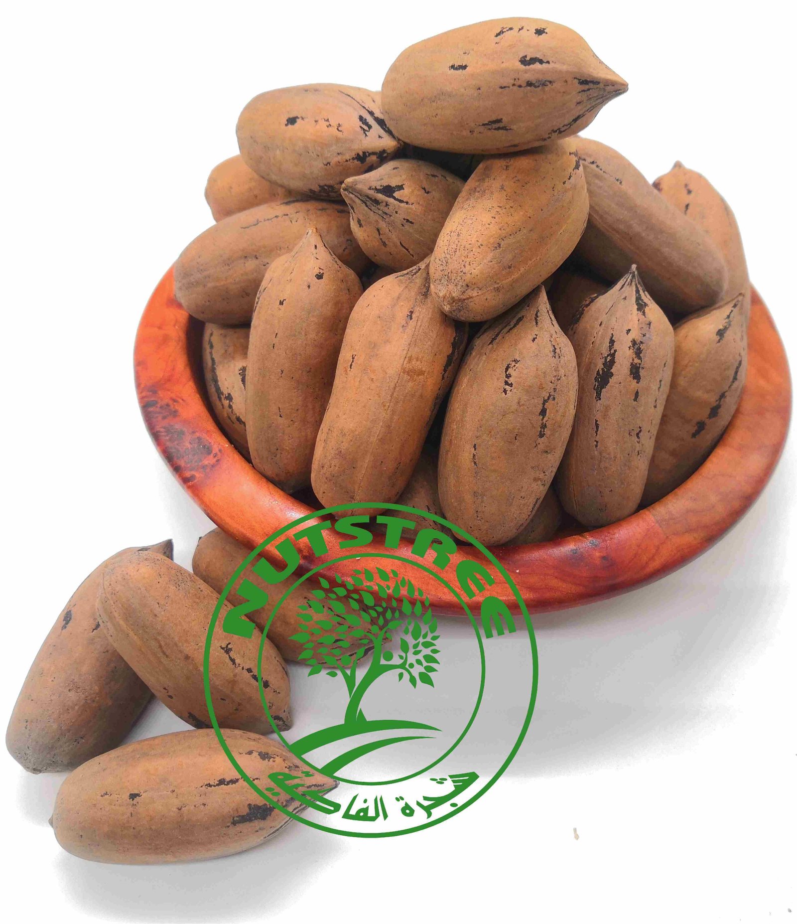 noix pica en coque جوز البيكا  بالقشرة